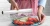 0878b89c171bf04770a4aff4d530806e.webp