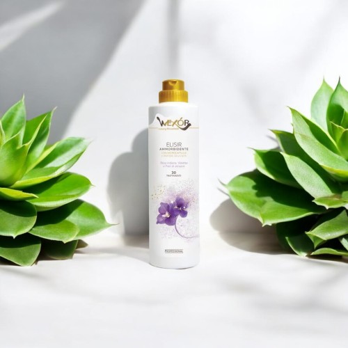 Zdjęcie produktu Wexor Elisir Ammorbidente Armonia Viola 750 ml – butelka premium płynu z mikrokapsułkami i proteinami jedwabiu, zapach Rosa Indiana, Viola i imbir, luksusowy płyn do płukania tkanin (30 prań).