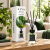 ALYA Green Forest dyfuzor 100 ml – świeży zapach do domu