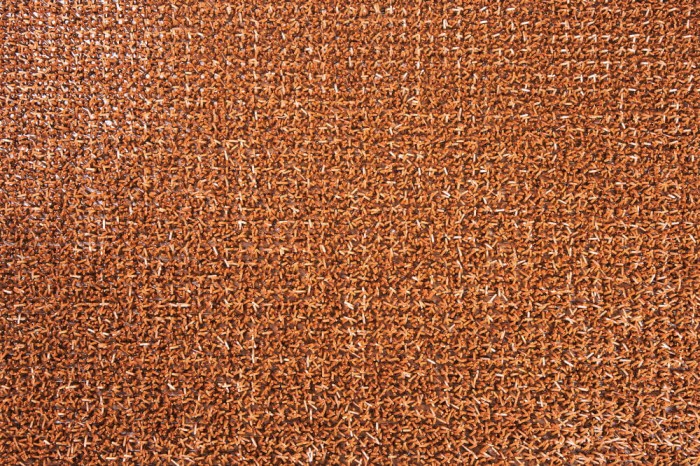 „AstroTurf Coca wycieraczka 91 cm na metry – mata wejściowa ułożona przed drzwiami.”