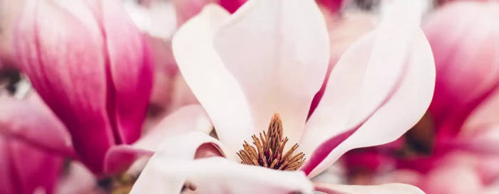 d0209ab8723d49de1962ef8879f3f90b